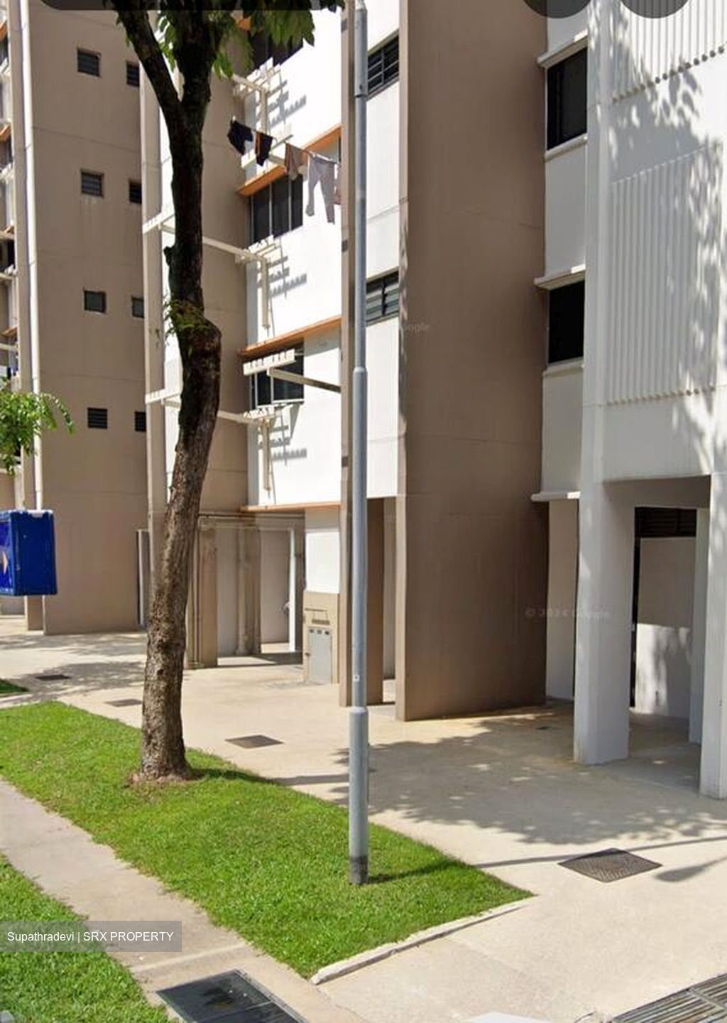 Blk 809 Tampines Polyview (Tampines), HDB 4 Rooms #524129641